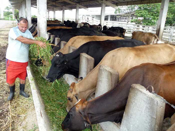Aporte a la economía desde la ciencia. Foto: Archivo