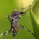 Convocan a extremar medidas para evitar aumento de focalidad