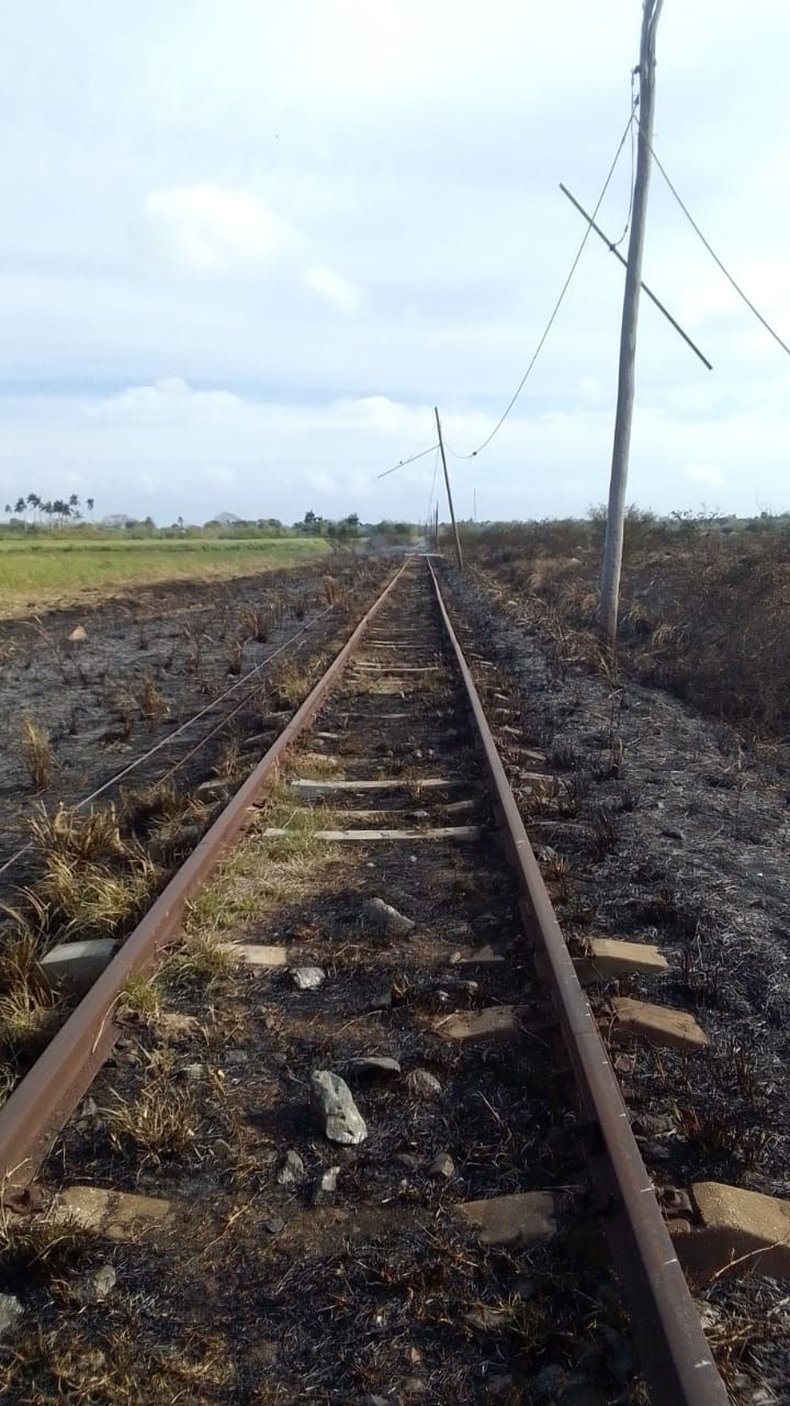 Dilatado trabajos de recuperación en línea Jaruco Foto: Radio Jaruco