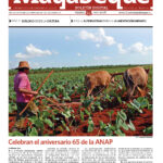 Edici&oacute;n 19 del bolet&iacute;n del Diario Mayabeque Digital