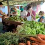 Intencionan en Jaruco otorgamiento de créditos agropecuarios de comercialización. Foto: Cubadebate