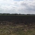 Prosigue en Jaruco otorgamiento de tierras ociosas. Foto: Radio Jaruco