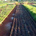Por la producci&oacute;n de alimentos