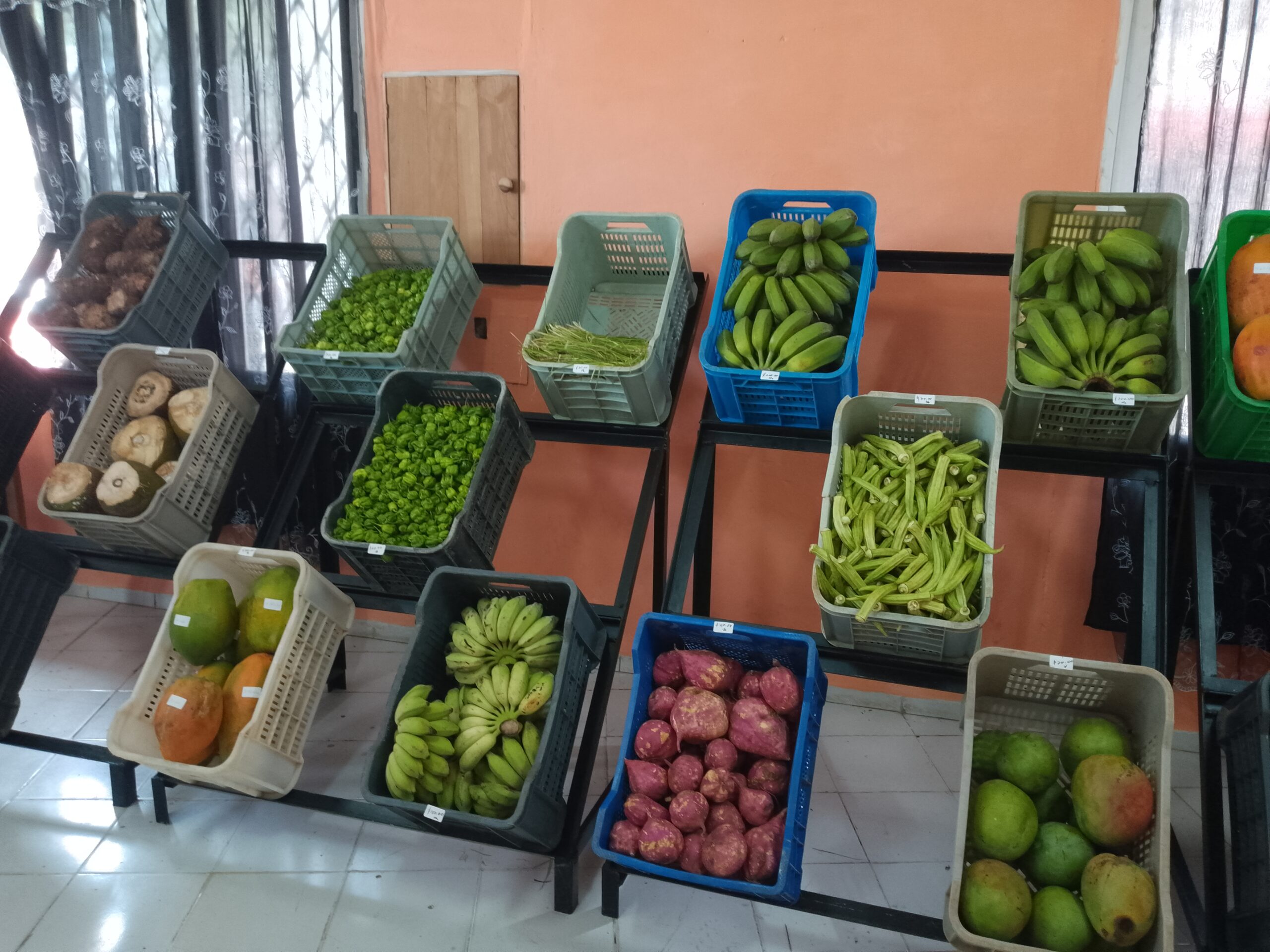 Inauguran en Güines Mercado Climatizado. Foto: Iván Antonio Licea Travieso