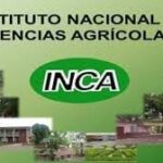 Nuevo proyecto del Instituto Nacional de Ciencias Agrícolas INCA. Foto: Radio Camoa
