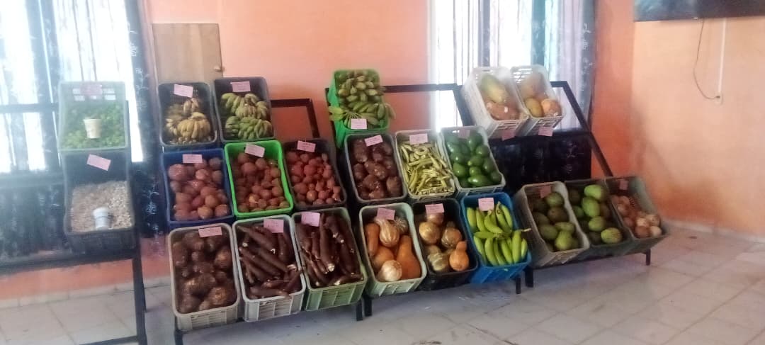 Mercado Climatizado Montoya: una propuesta para la familia de G&uuml;ines. Foto: Aleidis Mar&iacute;a Sosa P&eacute;rez
