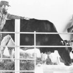 Fidel junto a los ganaderos de Mayabeque Foto Radio Camoa