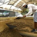 Capacitan a productores agrícolas sobre uso de agroecología