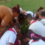 SEMBRAR UN ÁRBOL, SEMBRAR CONCIENCIA.