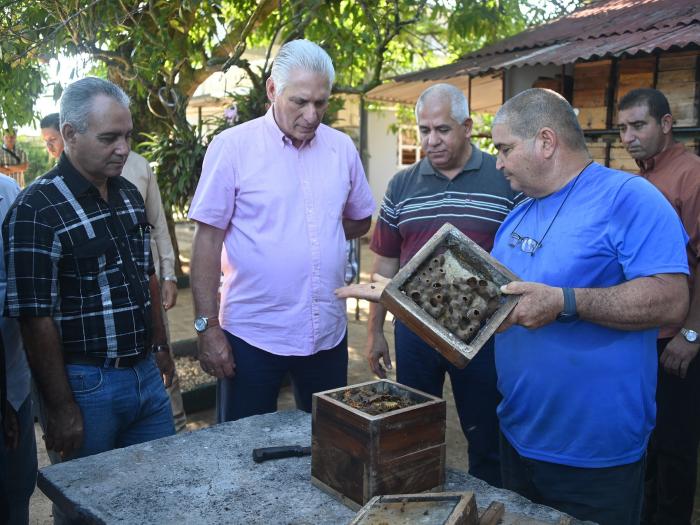 Las urgencias actuales exigen hacer muchas cosas a la par. Foto: Diario Granma