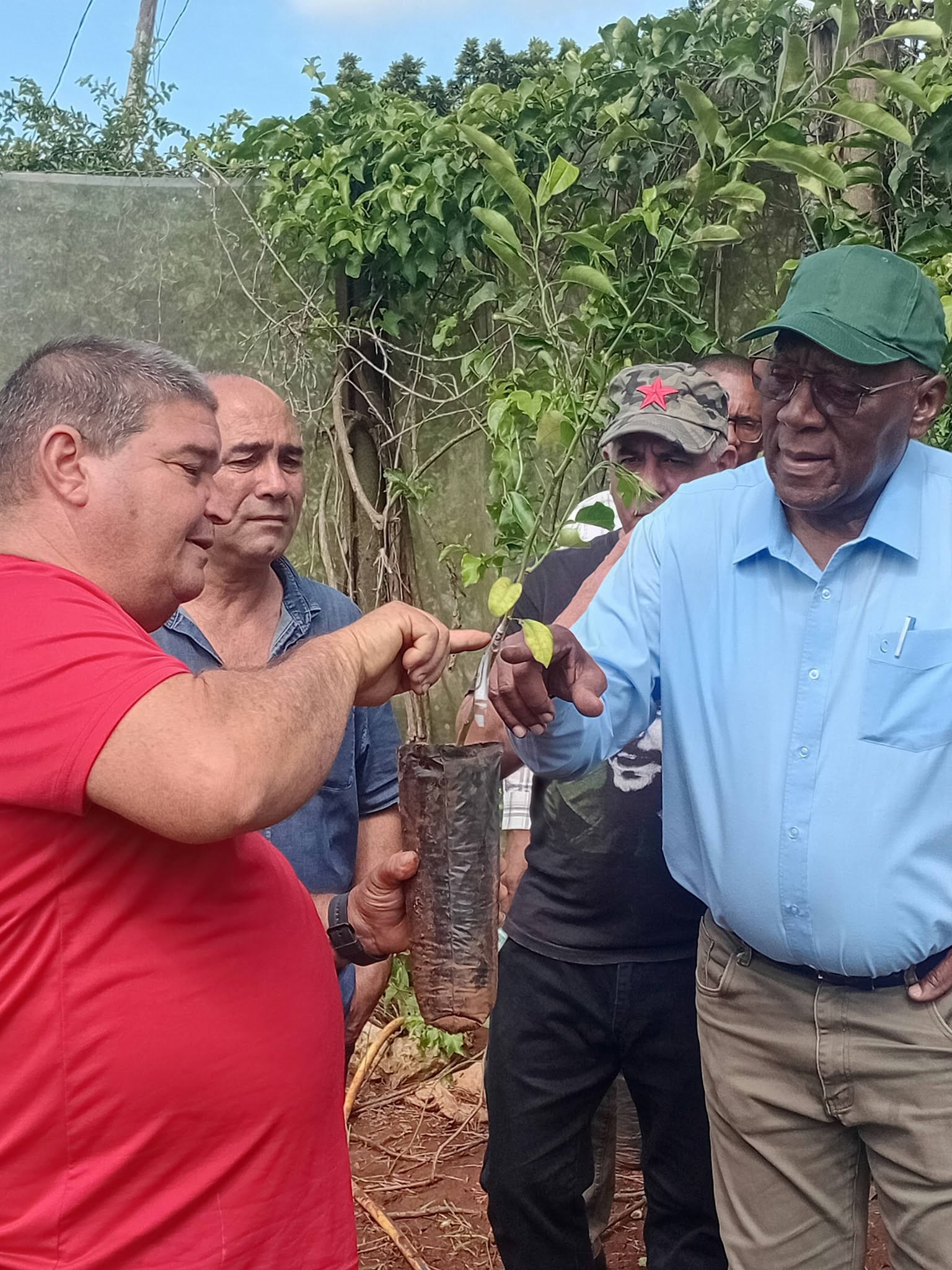 Llama a incrementar producciones en Mayabeque vicepresidente cubano Salvador Valdés Mesa. Foto: Indira la O Herrera