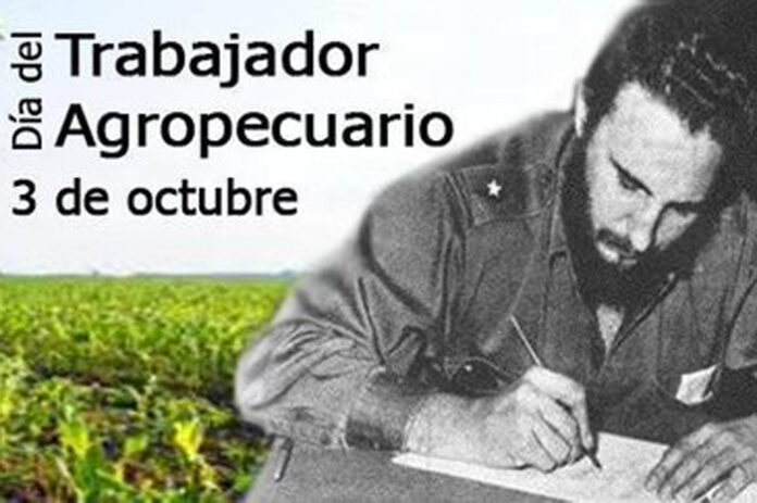 Celebran su día trabajadores del sector agropecuario y forestal. Foto: Jorge Luis Lazo Martínez.